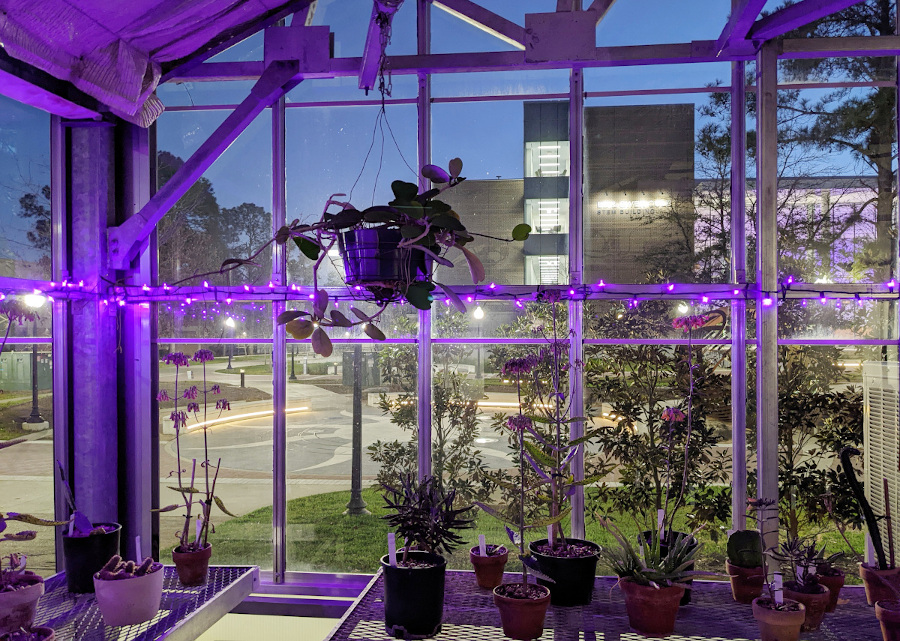 Veiw of the Cole STEM Biulding from Room 'A' of the SFASU Biology greenhouse