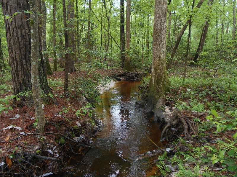 Naconechie Creek