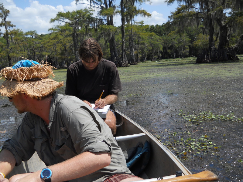 sampling excursion